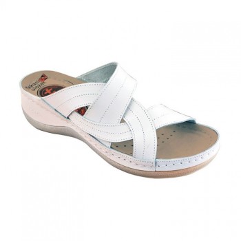 LEON PAPUČA art. 910