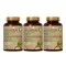 MAGNESIUM BISGLYCINATE PLUS ASHWAGANDHA ORGANIC, 30kom  PAKET 3 KUTIJE