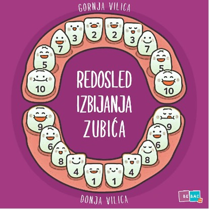 zubići sa redosledom nicanja